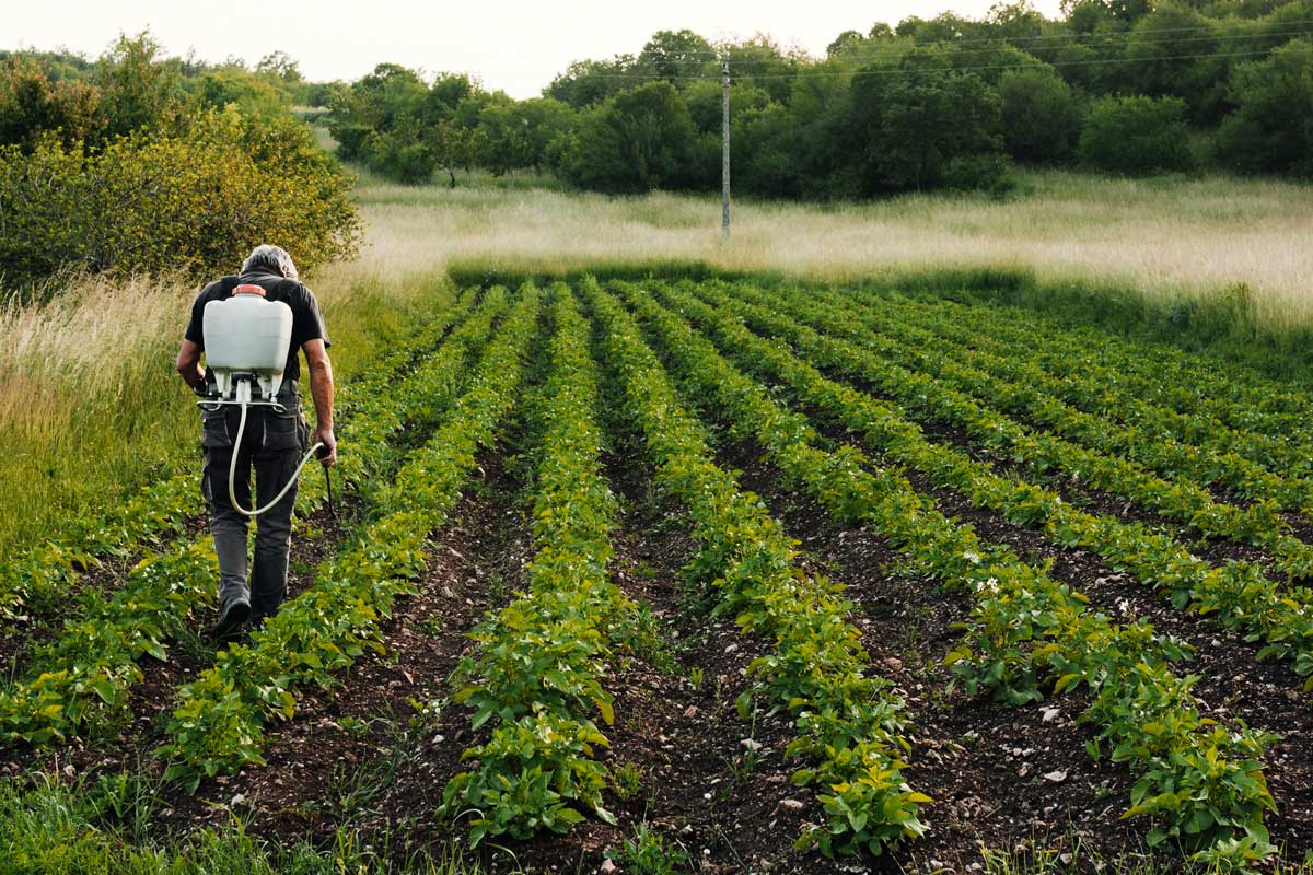 AGRICULTURE
